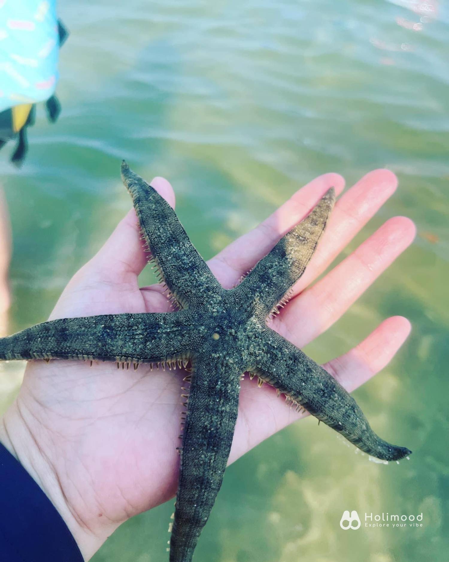 大尾篤BBQ - 鴻運燒烤煌｜任食燒烤＋水上樂園＋兒童設施 【大埔大美督】單人獨木舟/ 雙人獨木舟/ 直立板租借 (可泊車、可加4小時任食燒烤) 9