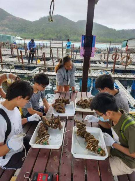 天虹號&一日團 【親子同樂】奇幻海洋探險之旅(可加南丫島海鮮宴)｜半天團 5