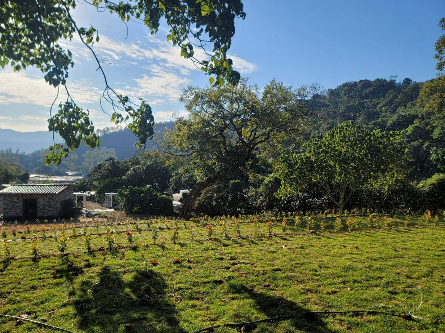 營喜野外露營場地 【深山系野外營區】自攜營帳體驗 - Zone B 莊園區 11