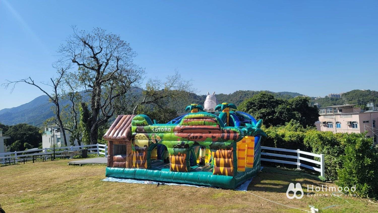 Xtivity 【貓巴士主題】任你玩2日1夜露營+派對｜寵物友善｜親子好去處｜包場派對 2