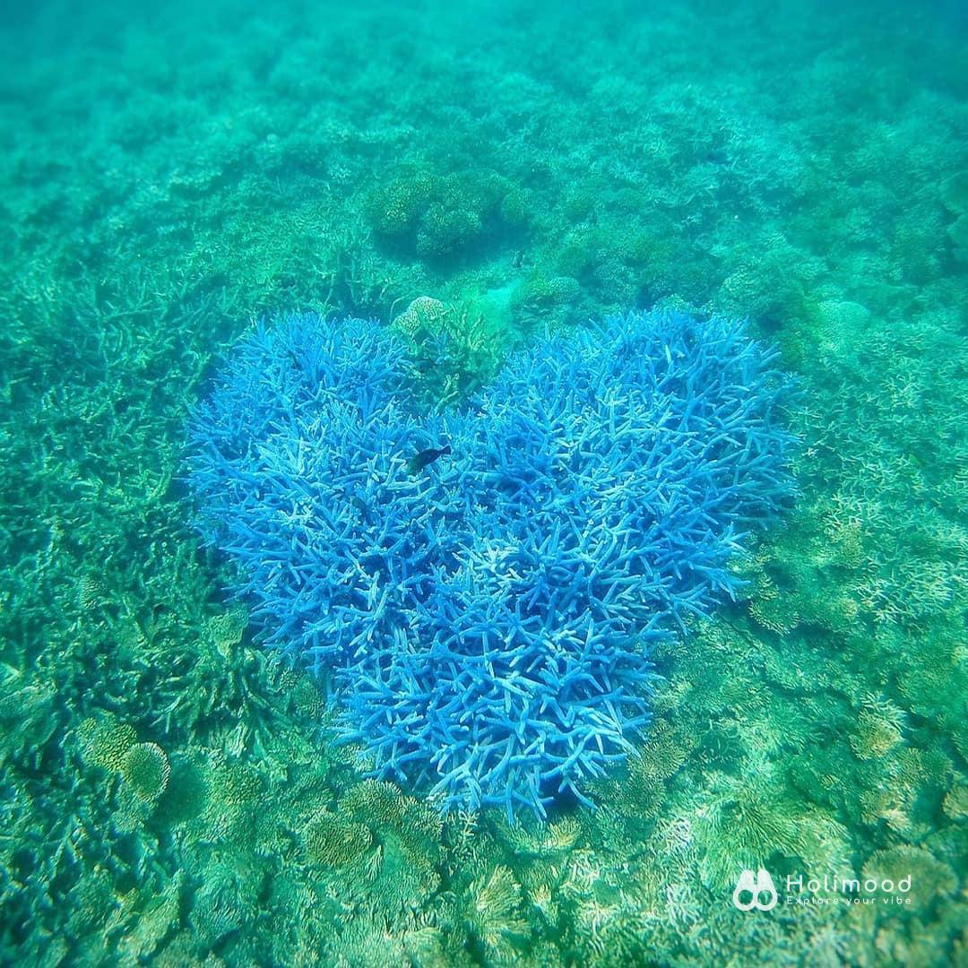 樂浪遊艇 澎湖秘境探索3.5小時｜48呎雙體遊艇｜澎湖亞果遊艇碼頭 11