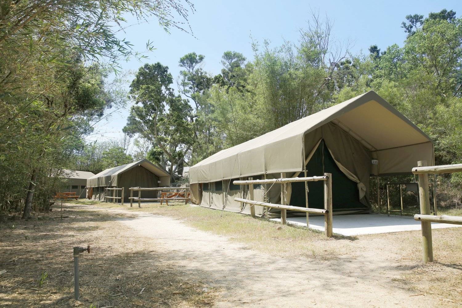 長洲西園露營歷奇園地 - 四大主題營區、豪華露營體驗、專業歷奇活動 【原野風情】加大南非營 (冷氣4-6人)｜長洲西園 1