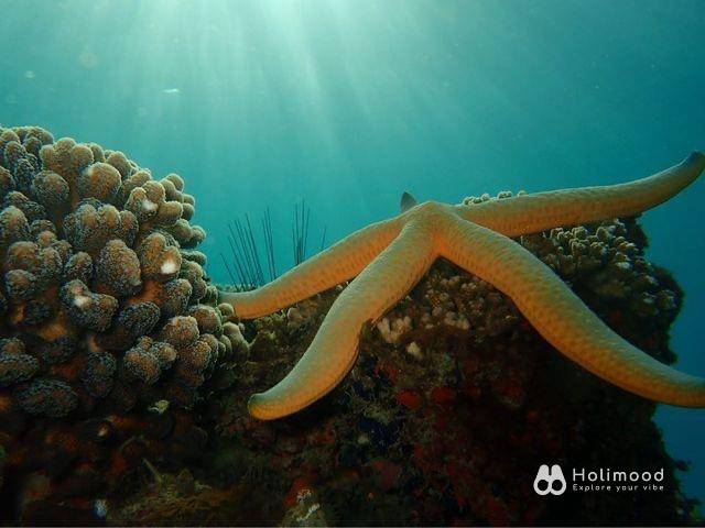 樂浪遊艇 澎湖秘境探索3.5小時｜48呎雙體遊艇｜澎湖亞果遊艇碼頭 9