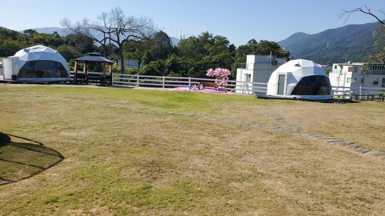 Xtivity 【貓巴士主題】任你玩日營+派對｜寵物友善｜親子好去處｜包場派對 35