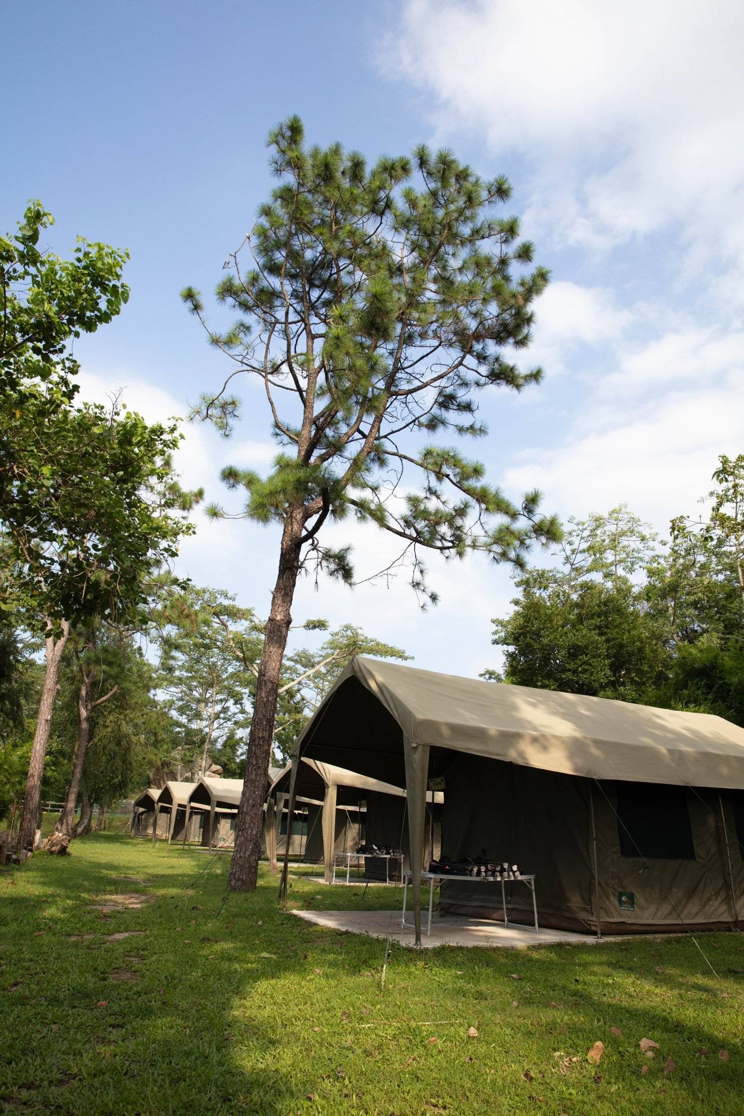 長洲西園露營歷奇園地 - 四大主題營區、豪華露營體驗、專業歷奇活動 【原野風情】大南非營 (冷氣4-6人)｜長洲西園 3