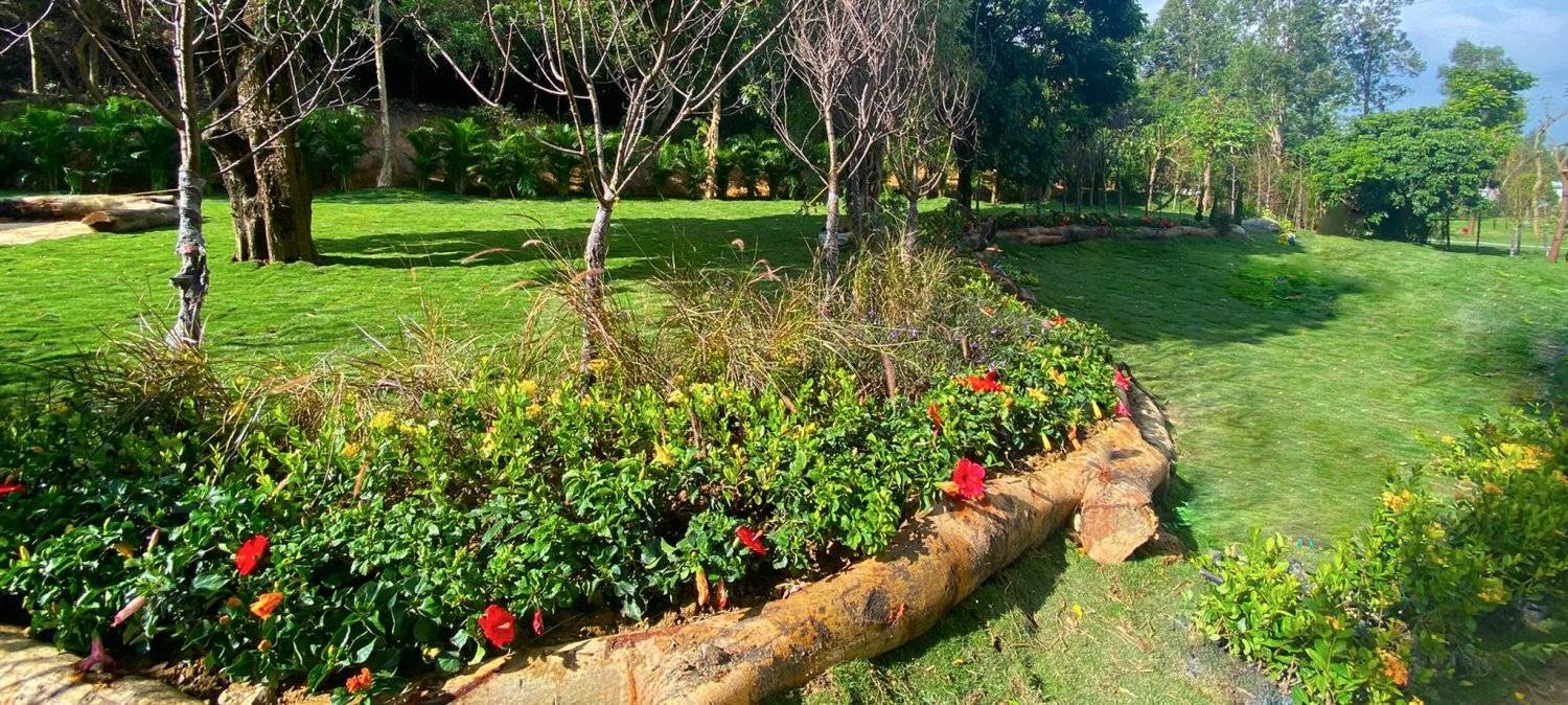 山林里農莊Forest Pathway | 錦田露營·寵物友善營區·巴士露營體驗 山林里農莊 (自攜營帳/租用營帳) 28