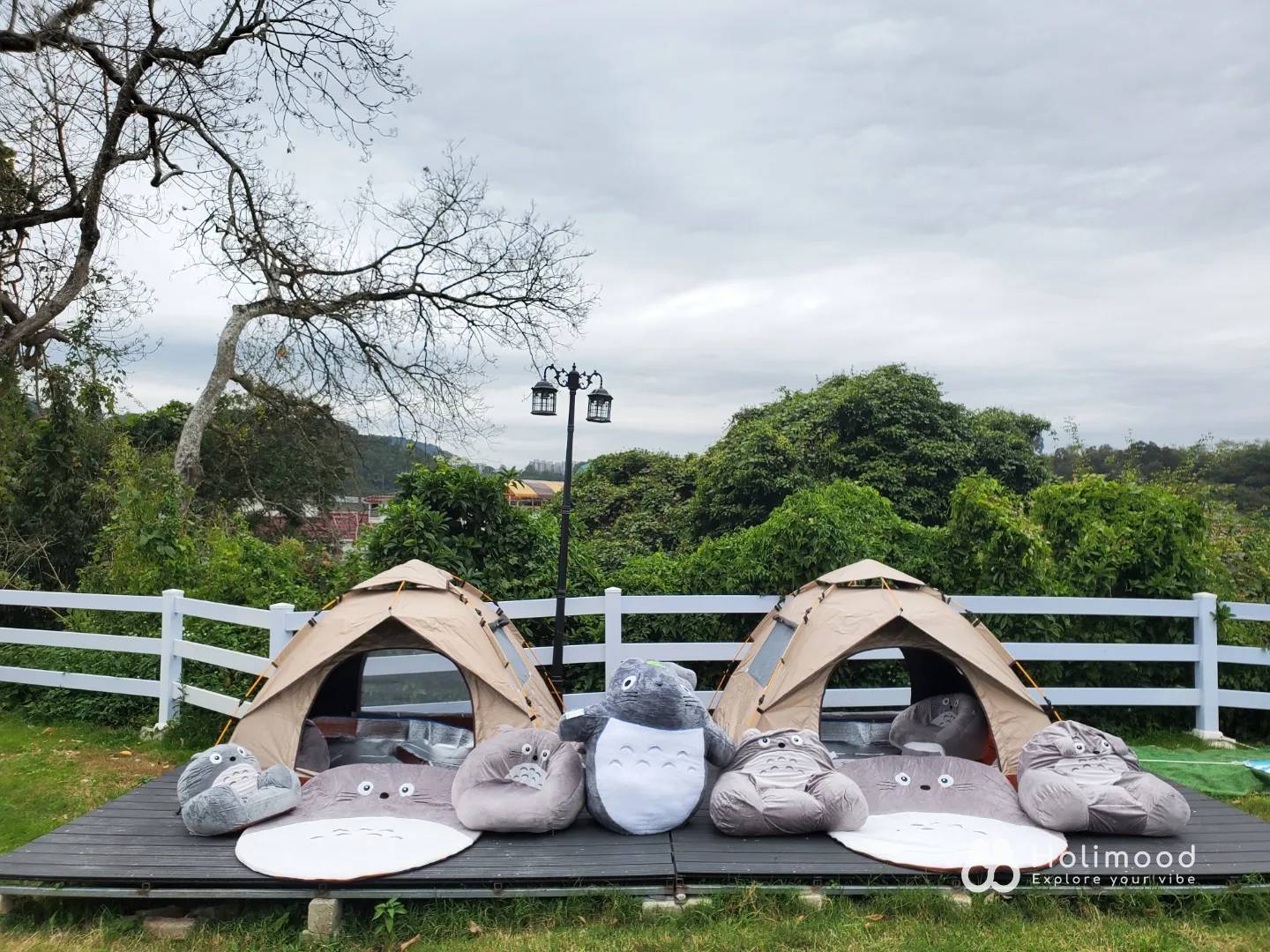 Xtivity 【貓巴士主題】任你玩2日1夜露營+派對｜寵物友善｜親子好去處｜包場派對 14