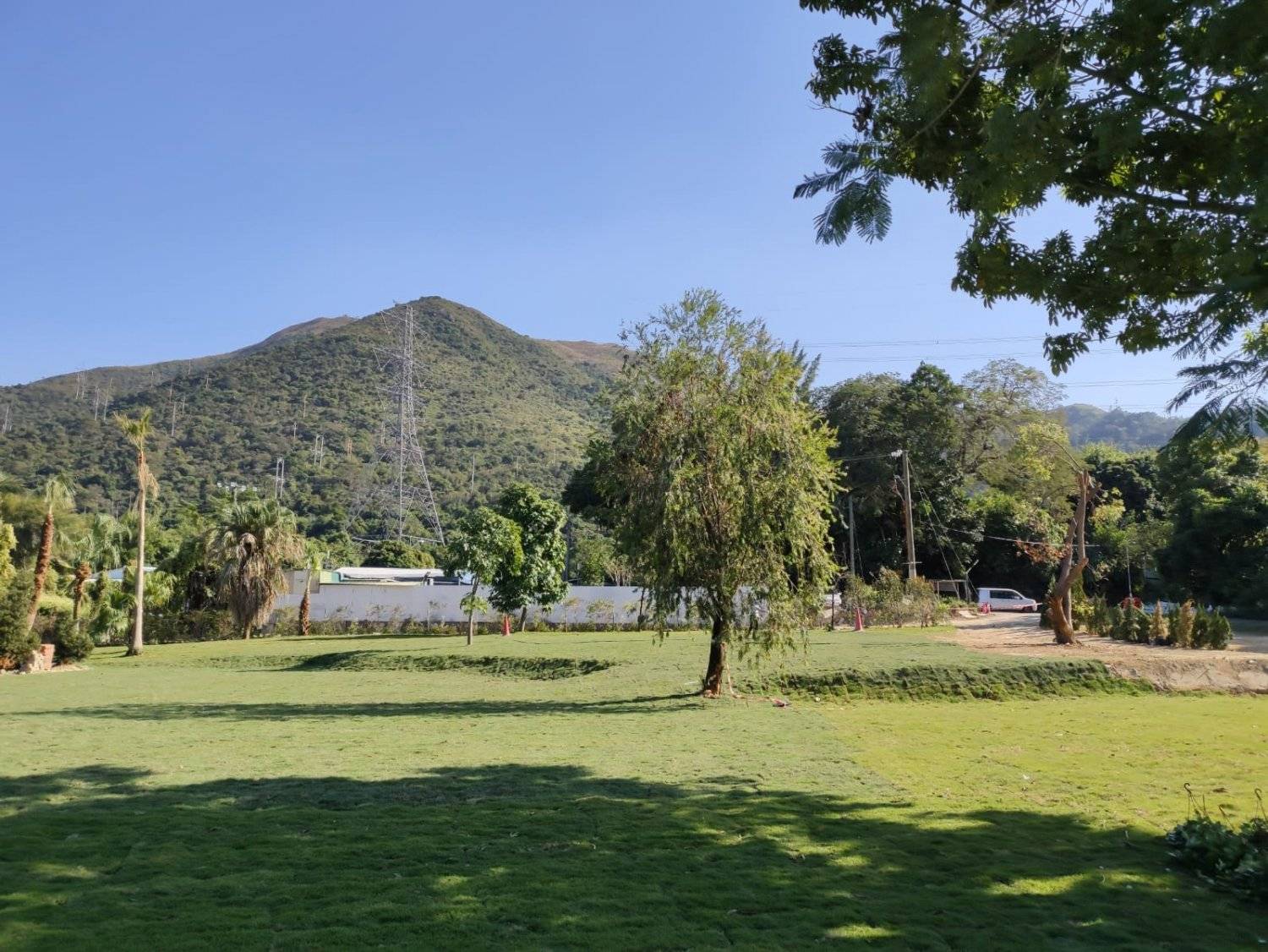 Forest Valley Land Forest Valley Car Camping/Camping (Bring Your Own Tent/Rent a Tent) 3