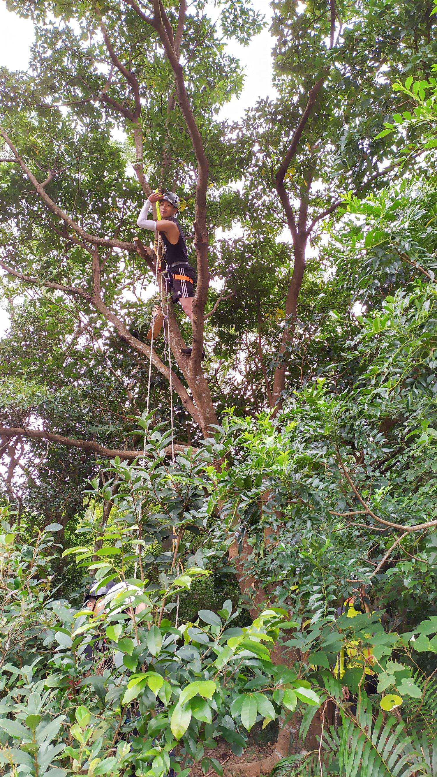 Rope3Style 【馬鞍山 - 全港唯一穿越山谷百米】飛索秘境之旅 2