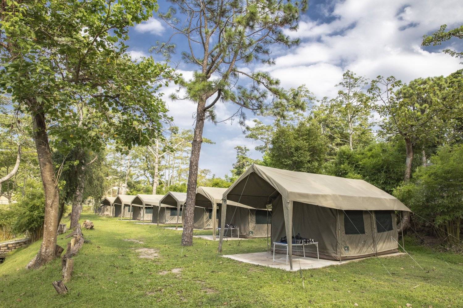 長洲西園露營歷奇園地 - 四大主題營區、豪華露營體驗、專業歷奇活動 【原野風情】中南非營冷氣 (4人)｜長洲西園 1