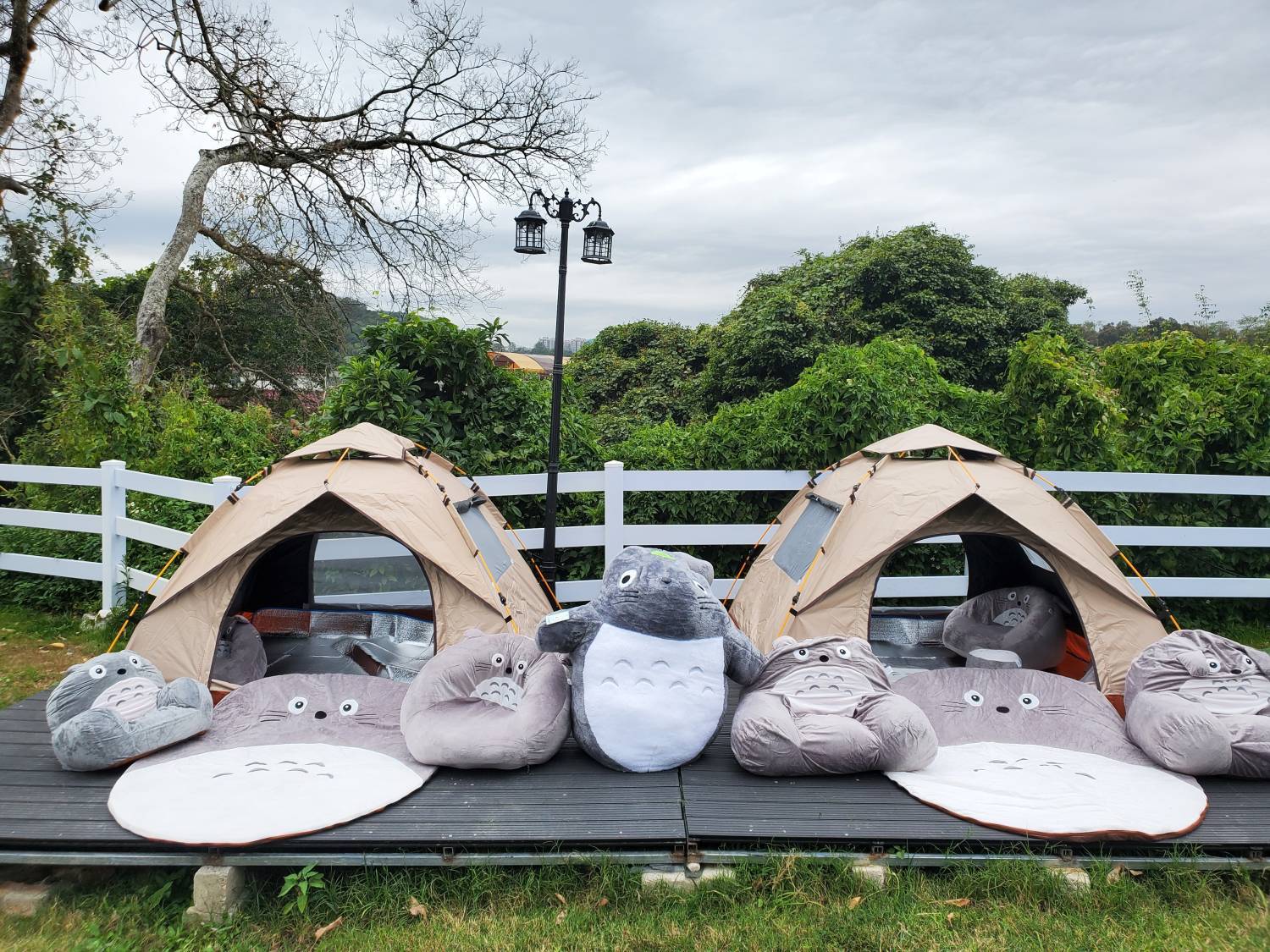 Xtivity 【貓巴士主題】任你玩日營+派對｜寵物友善｜親子好去處｜包場派對 20