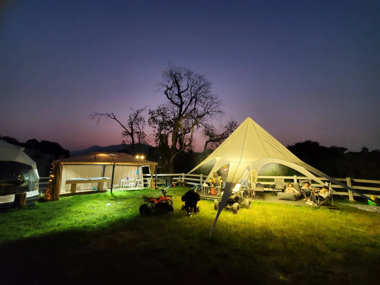 Xtivity 【貓巴士主題】任你玩日營+派對｜寵物友善｜親子好去處｜包場派對 33