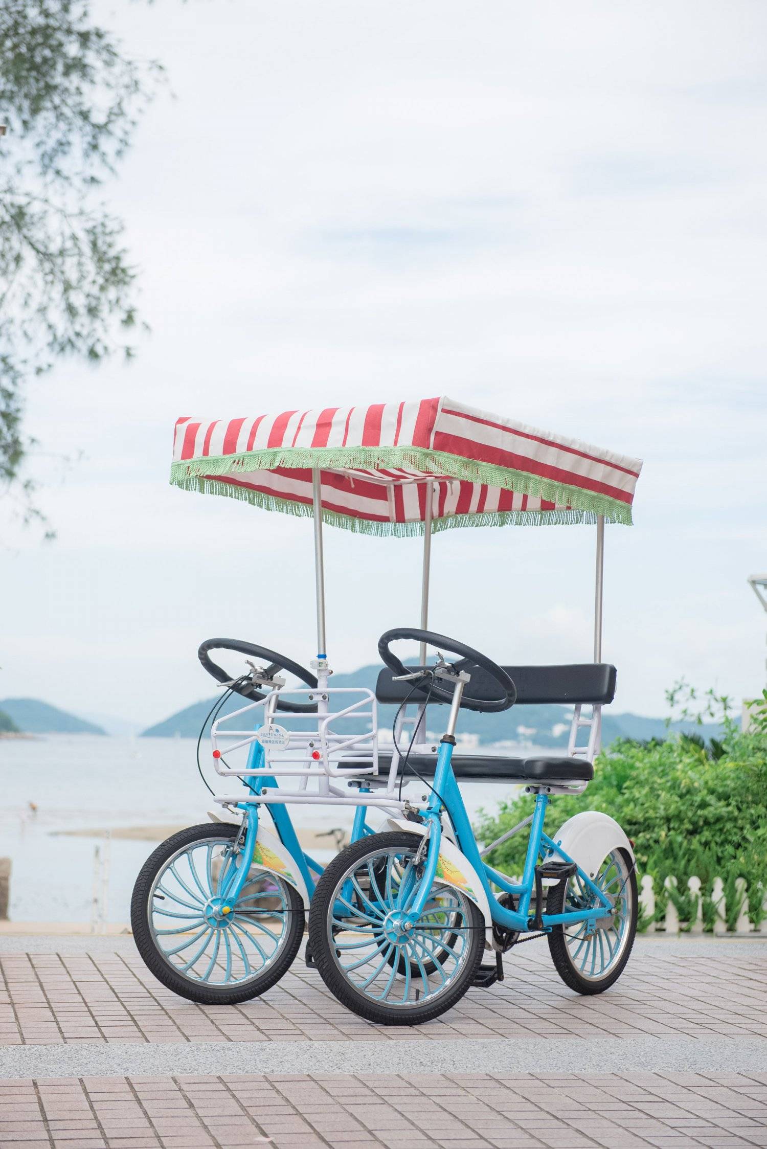 銀鑛灣渡假酒店 - 寵物住宿餐飲套票 & 梅窩海邊酒店 【 寵物住宿連餐飲套票】 雙人寵物客房 + 豐富雙人早餐 + 晚餐套餐 + 寵物小食 + 寵物晚餐｜銀鑛灣渡假酒店 10