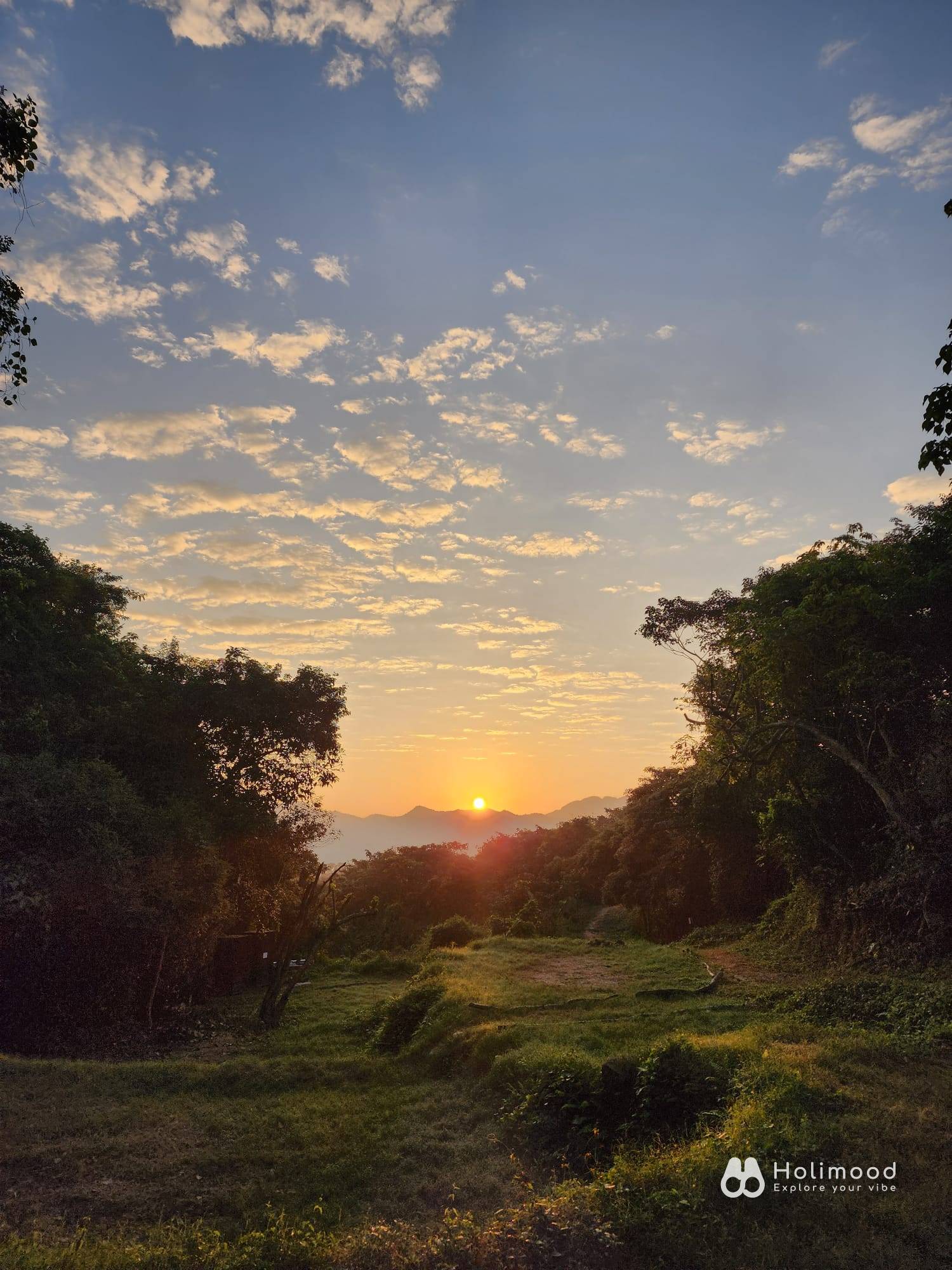 營喜野外露營場地 【深山系野外營區】自攜營帳體驗 - Zone A 野營區 (可自費攜帶寵物及進行營火體驗) 9
