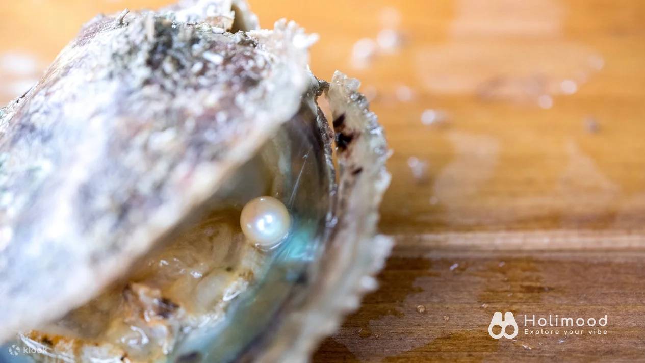 有機養殖HKOMD 全港唯一西貢珍珠導賞團-珍珠首飾工作坊 1