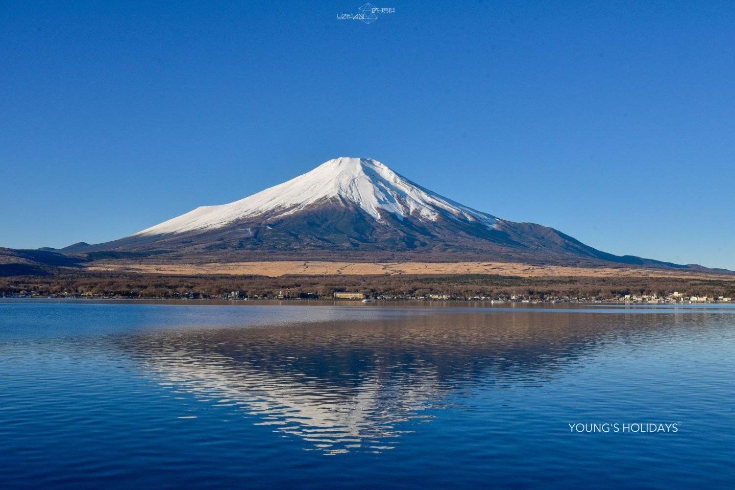Youngs Holiday 悠揚假期 - 潛水旅遊、自駕遊、日本露營車 【私人包車】東京10小時市內/富士山/鐮倉/輕井澤/日光客制化行程中文司機包車一日遊(7/10人車) 7