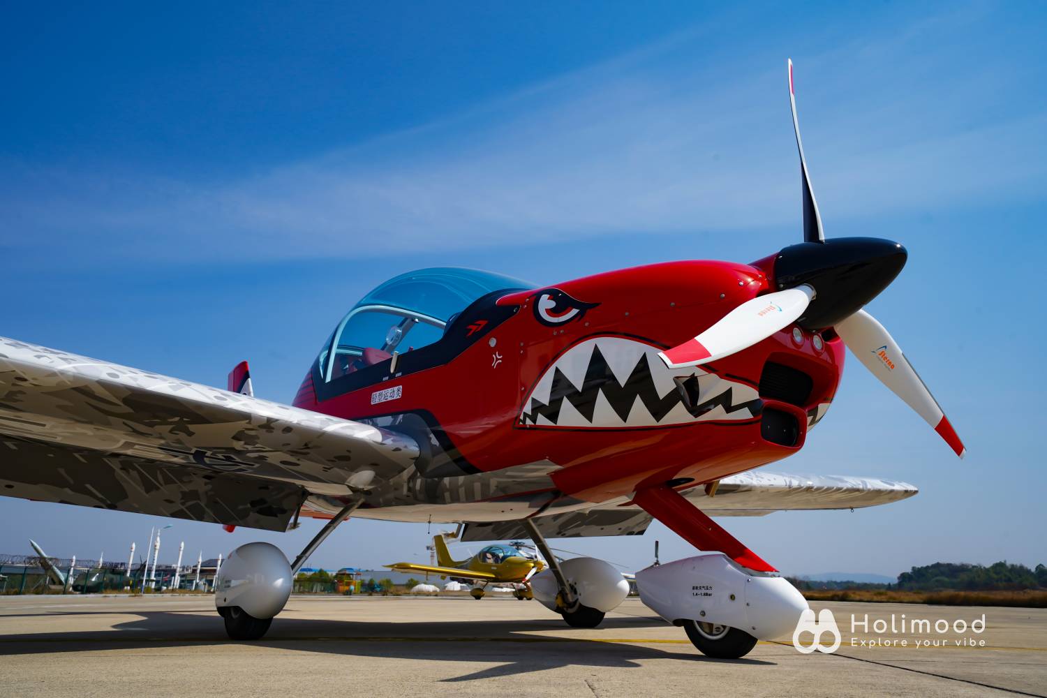 Monster Joker 【空中體驗遊】珠海飛機飛行體驗+飛行證書 9