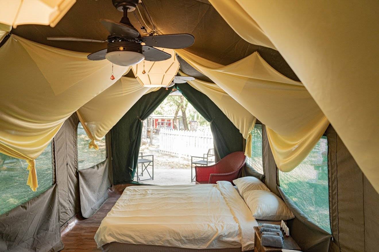 長洲西園露營歷奇園地 - 四大主題營區、豪華露營體驗、專業歷奇活動 【專屬草地平台】「墩墩」南非營(2-4人)｜長洲西園 11