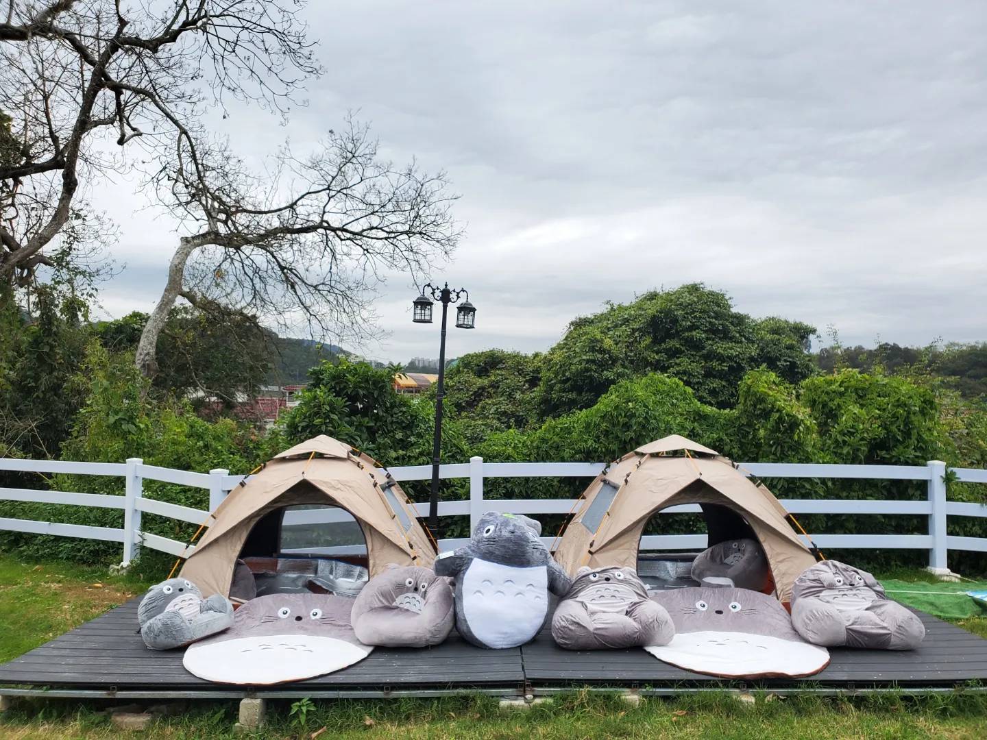 Xtivity 【貓巴士主題】任你玩日營+派對｜寵物友善｜親子好去處｜包場派對 15