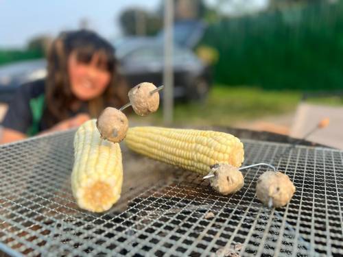 WE CAMP 元朗露營 - 15萬呎營地｜豪華露營、汽車露營、塘景露營體驗 【超大草原C-zone】【自扎營】 車邊/露營Feel/豪華版BBQ/火鍋專用區/獨享場地 4