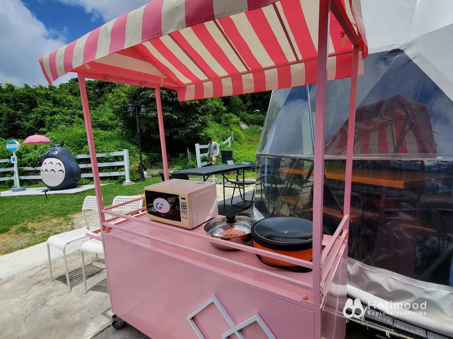 Xtivity 【貓巴士主題】任你玩2日1夜露營+派對｜寵物友善｜親子好去處｜包場派對 23