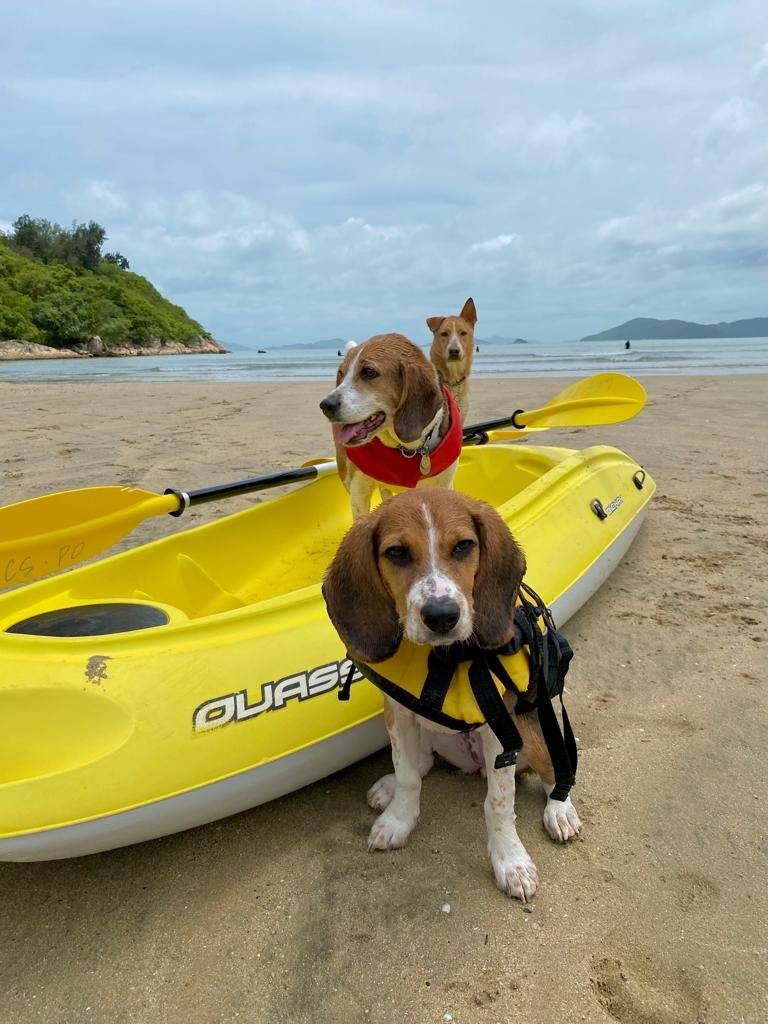 浪高長岸 - 大嶼山長沙沙灘水上活動及Glamping體驗 【浪高長岸】水上活動券連豪華型露營車代用體驗 (4人) 18