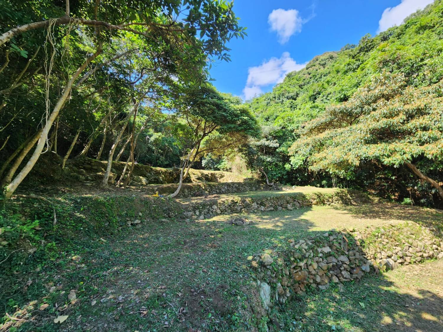 營喜野外露營場地 【深山系野外營區】自攜營帳體驗 - Zone A 野營區 (可自費攜帶寵物及進行營火體驗) 19