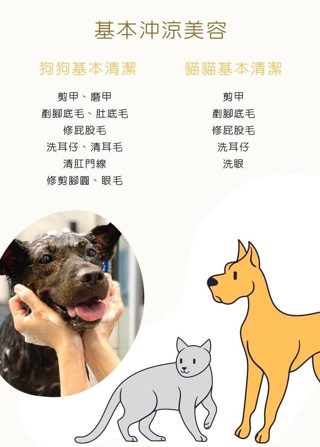 Patpetgrooming 全手剪造型 5