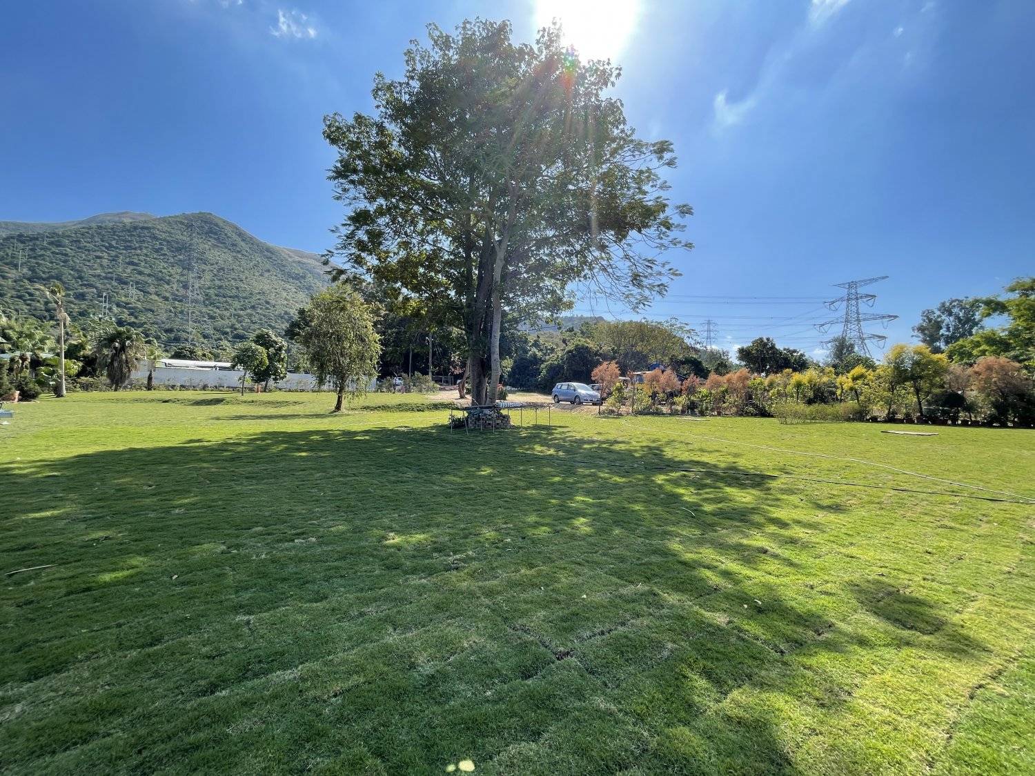 Forest Valley Land Forest Valley Car Camping/Camping (Bring Your Own Tent/Rent a Tent) 4