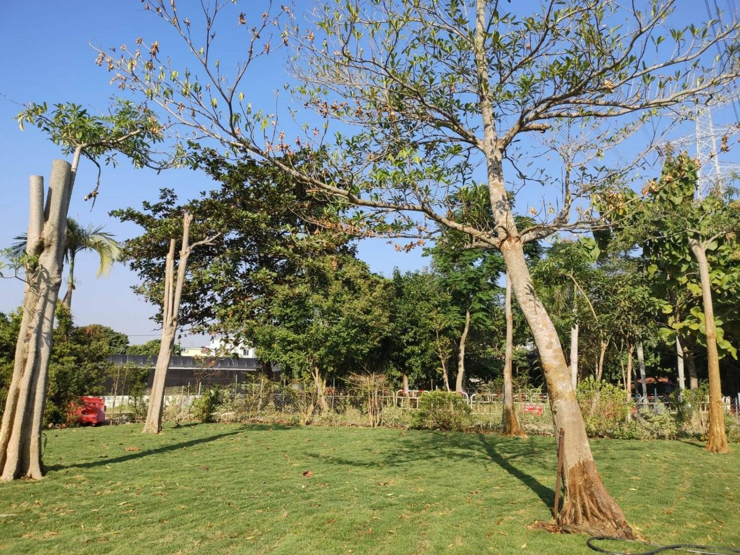 Forest Valley Land Forest Valley Car Camping/Camping (Bring Your Own Tent/Rent a Tent) 10