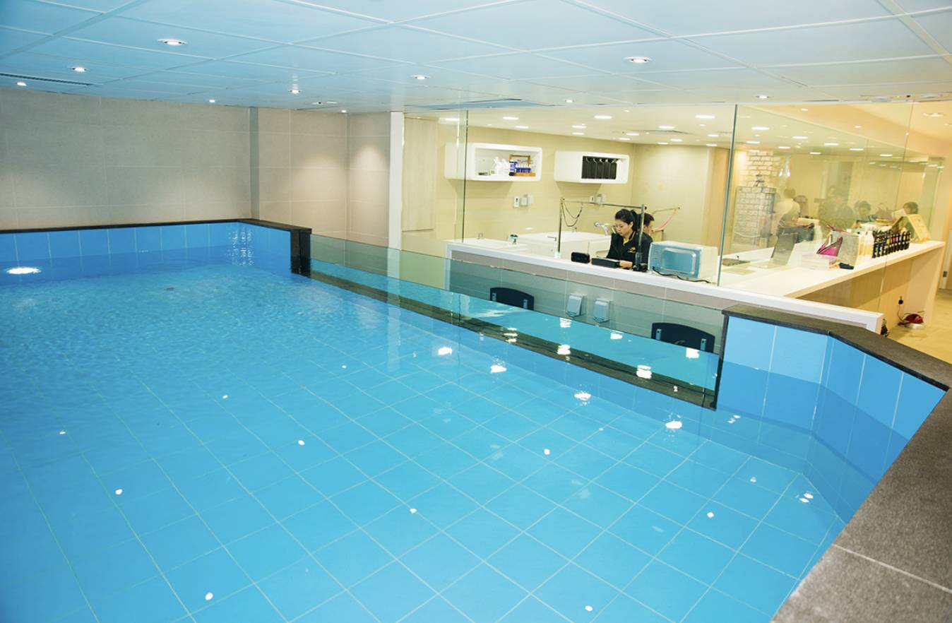 Dog Dog Come Wonderland 【狗主活動】室內恆溫游泳池 2