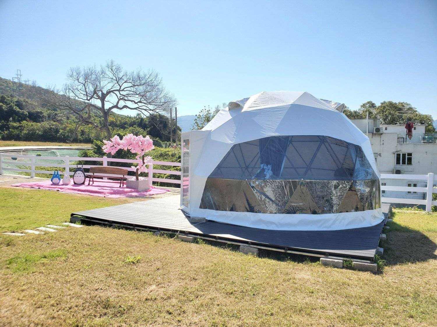 Xtivity 【貓巴士主題】任你玩日營+派對｜寵物友善｜親子好去處｜包場派對 25