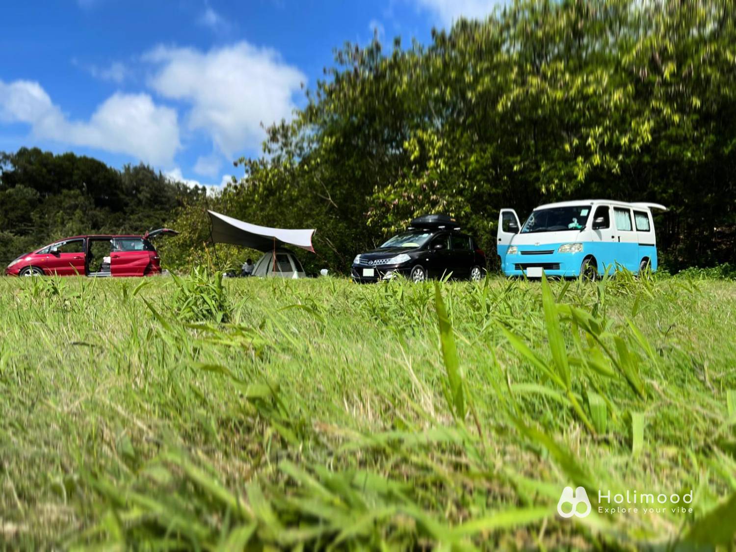 綠行鳥營地 | 大棠露營·觀星營地·紅葉生態園 【元朗2026新裝修營地】 自攜營帳露營體驗 2