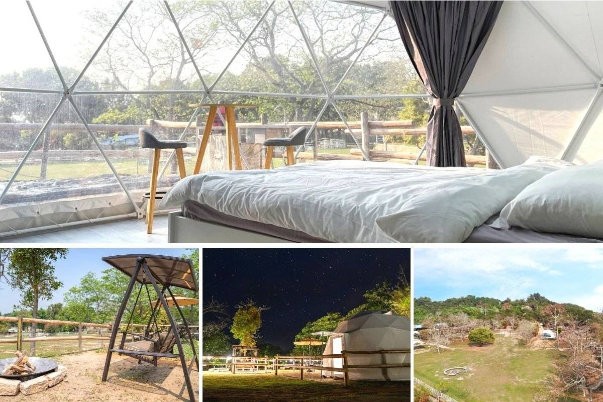 長洲西園露營歷奇園地 - 四大主題營區、豪華露營體驗、專業歷奇活動 【草原景緻】「霞賞」全新觀星營(4人)｜長洲西園 1