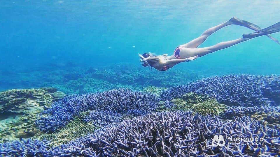 樂浪遊艇 澎湖秘境探索3.5小時｜48呎雙體遊艇｜澎湖亞果遊艇碼頭 7