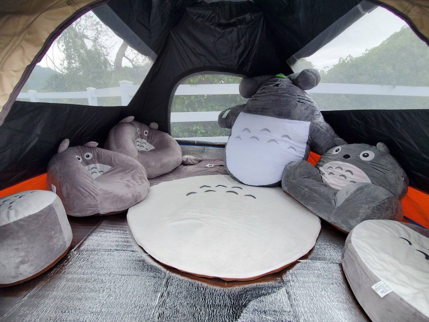 Xtivity 【貓巴士主題】任你玩日營+派對｜寵物友善｜親子好去處｜包場派對 18