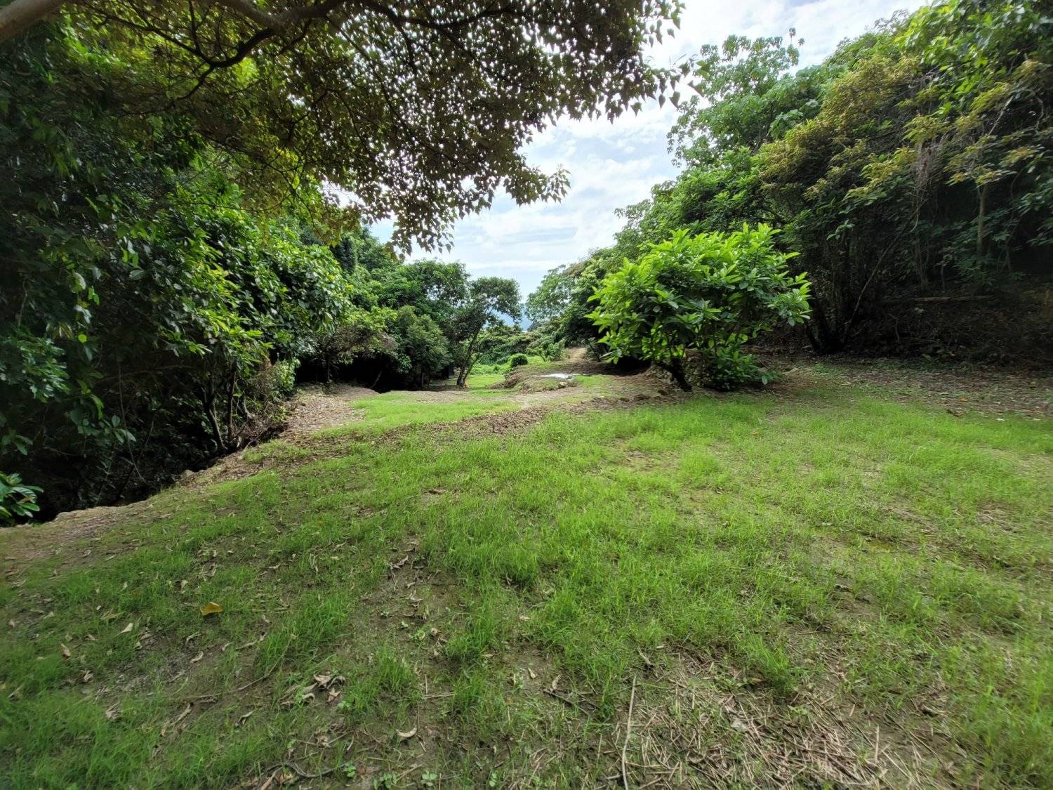 營喜野外露營場地 【深山系野外營區】自攜營帳體驗 - Zone A 野營區 (可自費攜帶寵物及進行營火體驗) 14