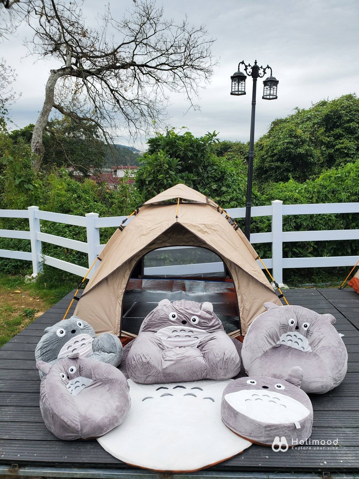 Xtivity 【貓巴士主題】任你玩2日1夜露營+派對｜寵物友善｜親子好去處｜包場派對 22