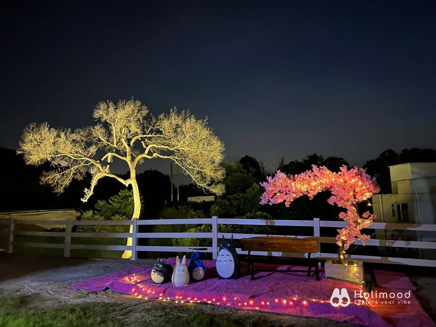 Xtivity 【貓巴士主題】任你玩2日1夜露營+派對｜寵物友善｜親子好去處｜包場派對 40