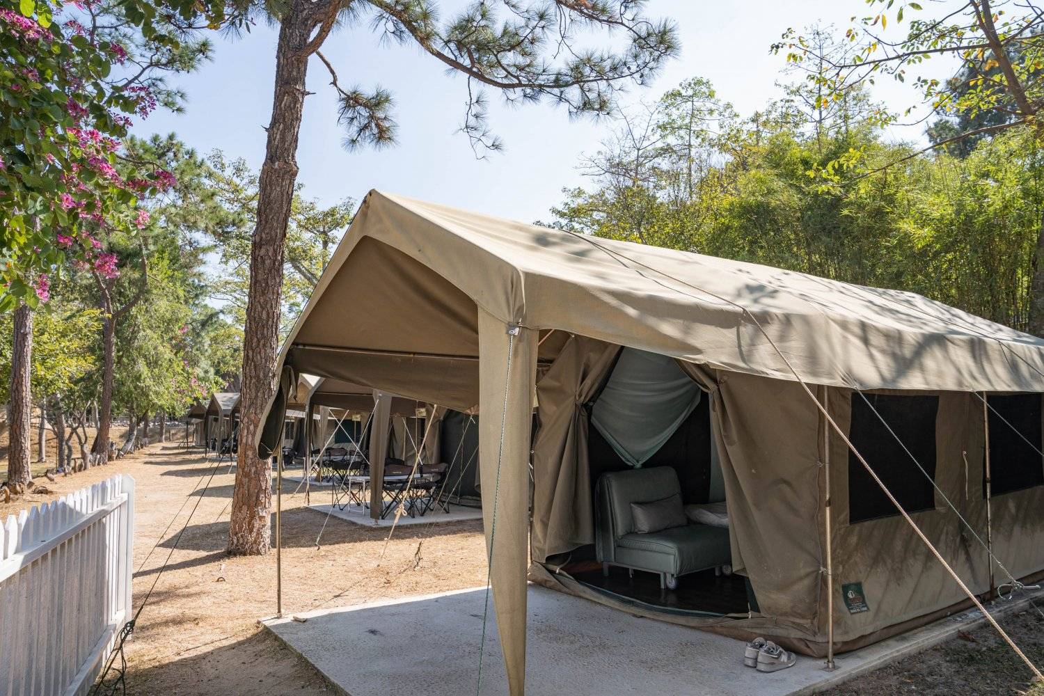 長洲西園露營歷奇園地 - 四大主題營區、豪華露營體驗、專業歷奇活動 【專屬草地平台】「巴拉」南非營(2-3人)｜長洲西園 8
