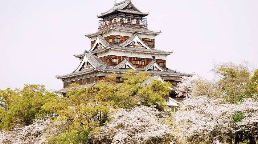 Youngs Holiday 悠揚假期 - 潛水旅遊、自駕遊、日本露營車 【四國廣島】七人日本露營車24小時租用體驗(C-Robinson 771) 28