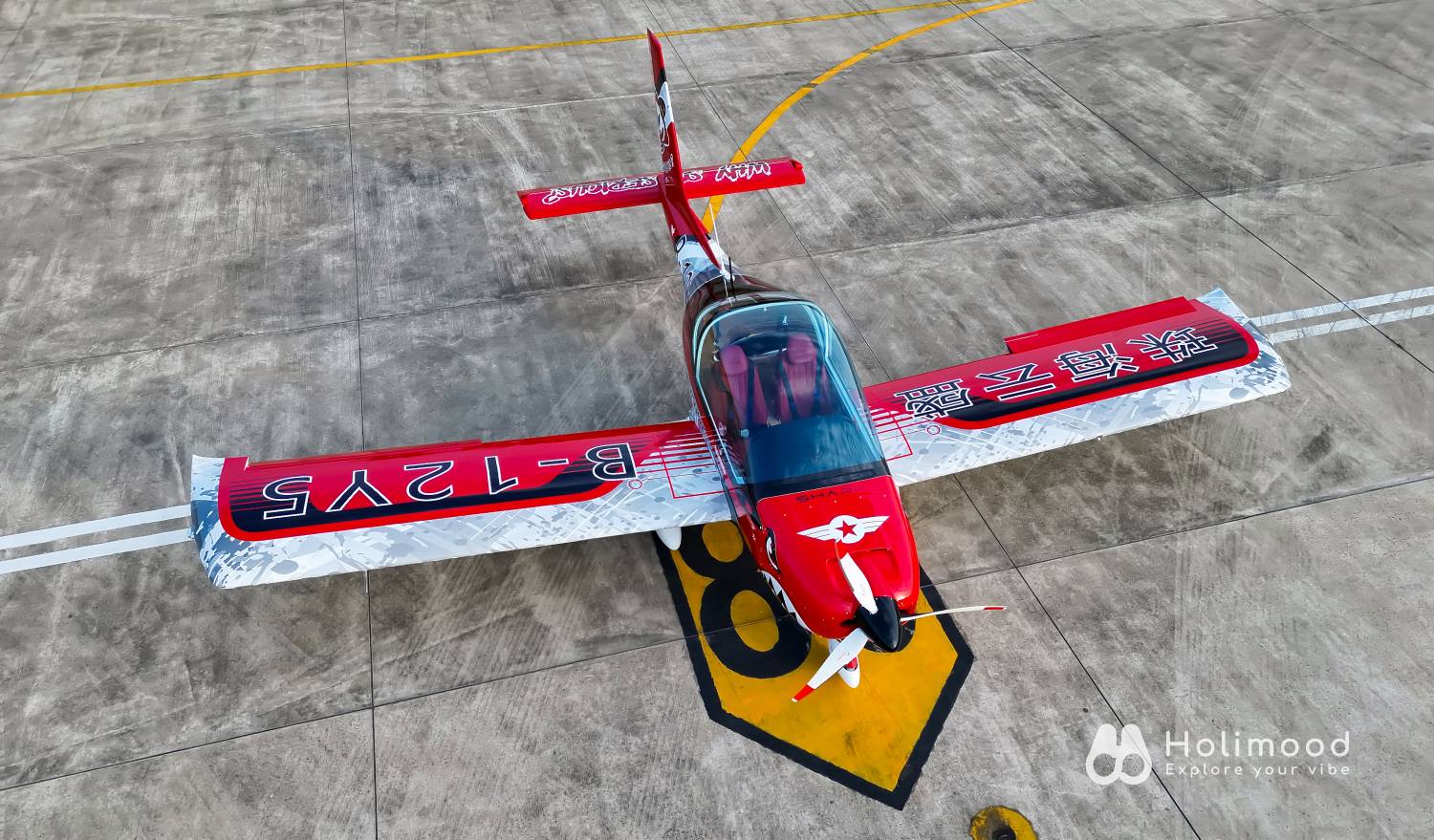 Monster Joker 【空中體驗遊】珠海飛機飛行體驗+飛行證書 11