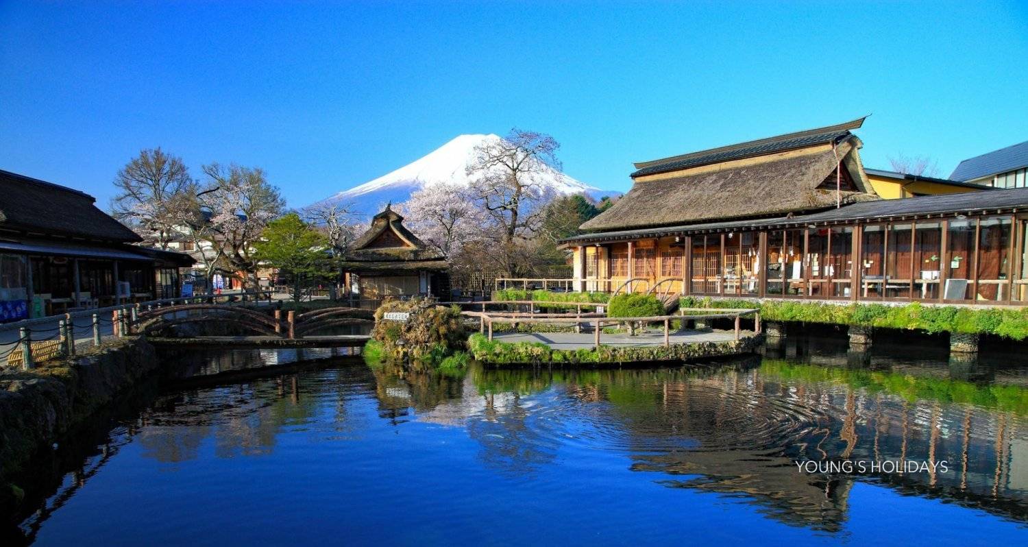 Youngs Holiday 悠揚假期 - 潛水旅遊、自駕遊、日本露營車 【私人包車】東京10小時市內/富士山/鐮倉/輕井澤/日光客制化行程中文司機包車一日遊(7/10人車) 8