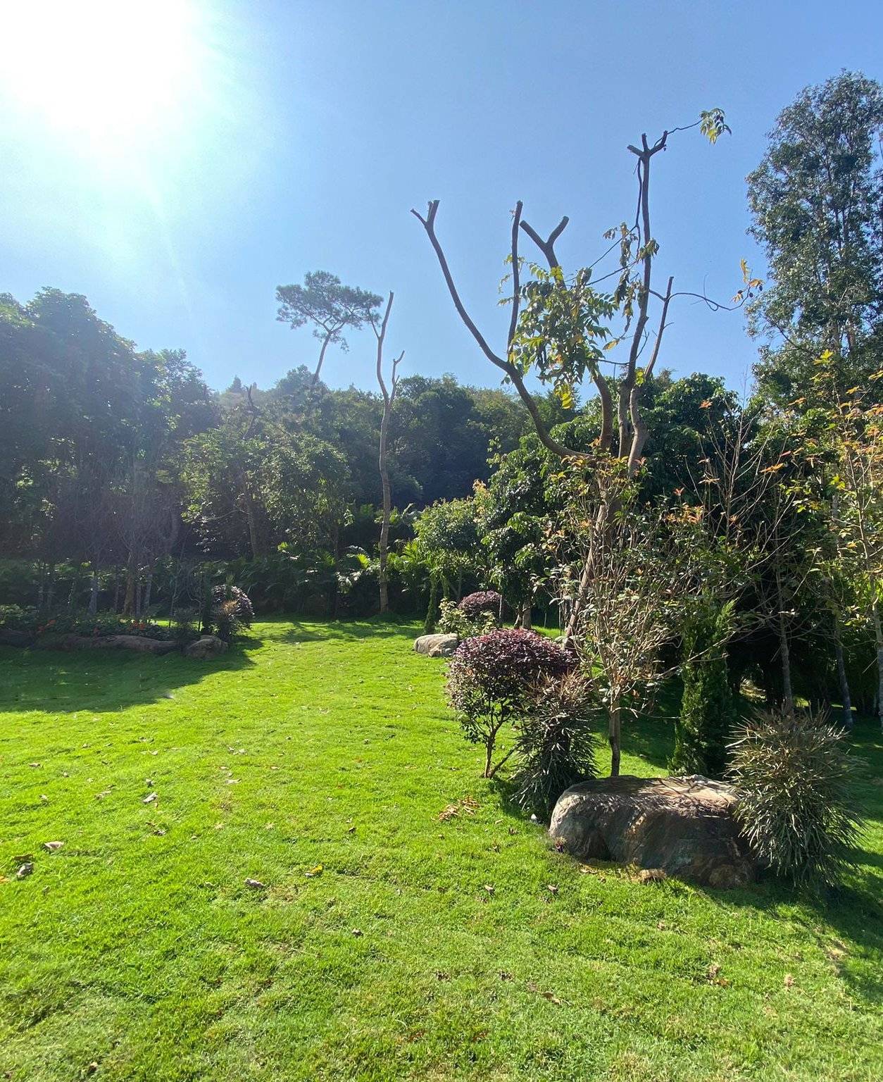 山林里農莊Forest Pathway | 錦田露營·寵物友善營區·巴士露營體驗 山林里農莊 (自攜營帳/租用營帳) 24