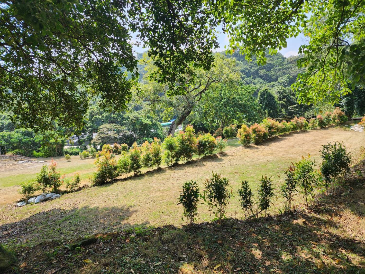 營喜野外露營場地 【深山系野外營區】自攜營帳體驗 - Zone B 莊園區 13