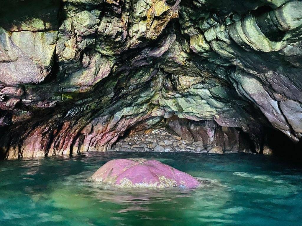 Secret Ocean 【離島秘景】東龍島深度遊+獨木舟穿海蝕洞之旅 (4人成團) 11