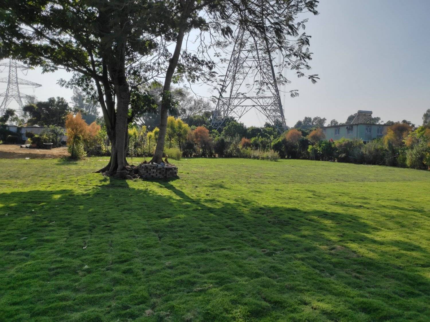 Forest Valley Land Forest Valley Car Camping/Camping (Bring Your Own Tent/Rent a Tent) 9