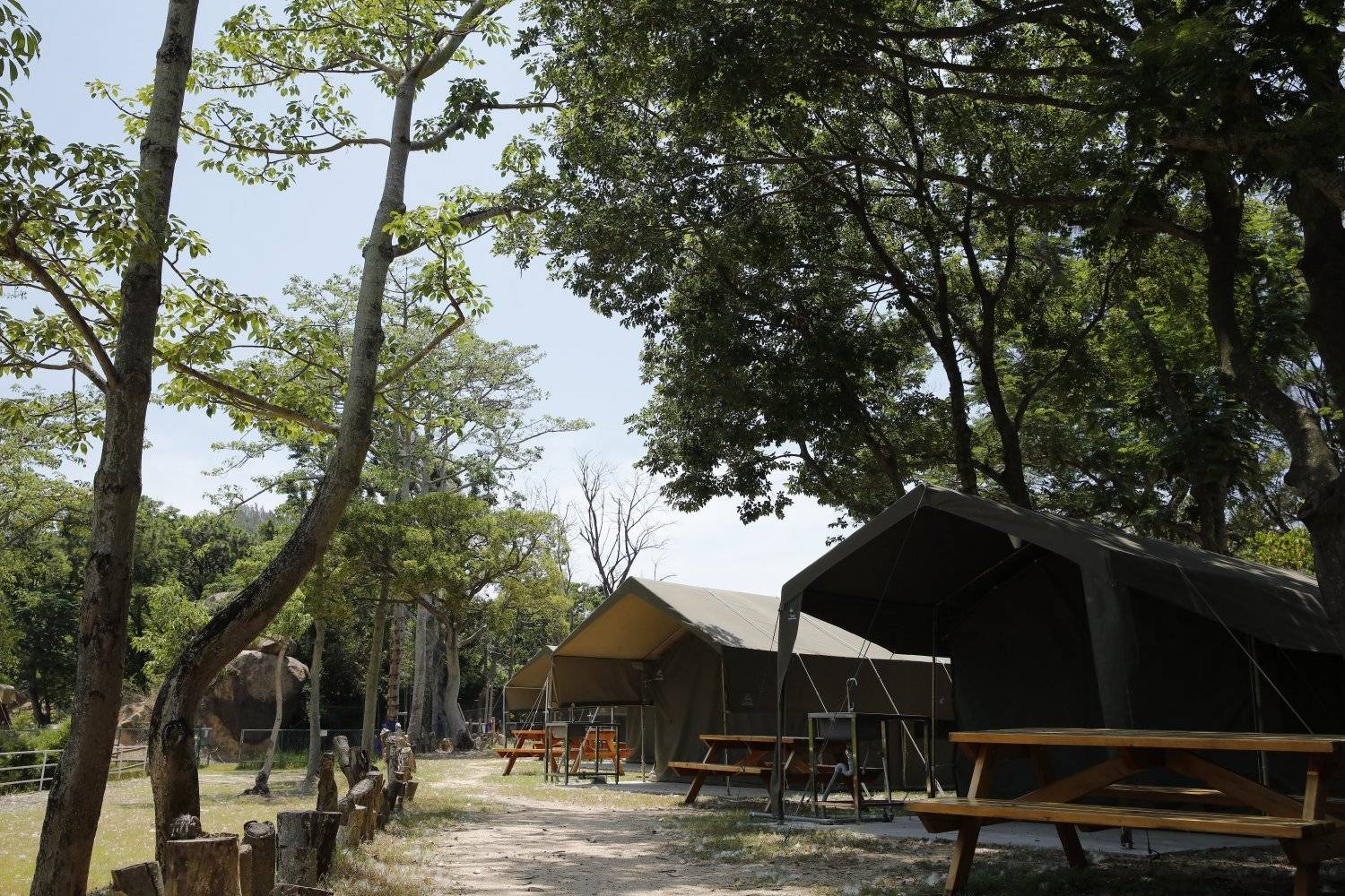 長洲西園露營歷奇園地 - 四大主題營區、豪華露營體驗、專業歷奇活動 【原野風情】大南非營 (冷氣4-6人)｜長洲西園 6