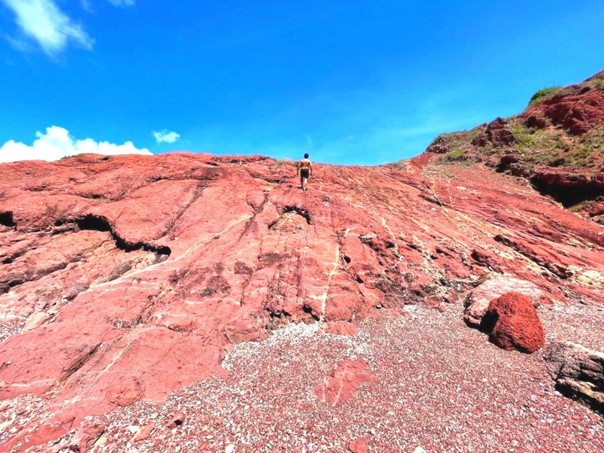 Explorer Hong Kong 【赤色島嶼打卡半日遊】赤洲浮潛體驗及生態導賞 - 私人包團 (10人團) 8