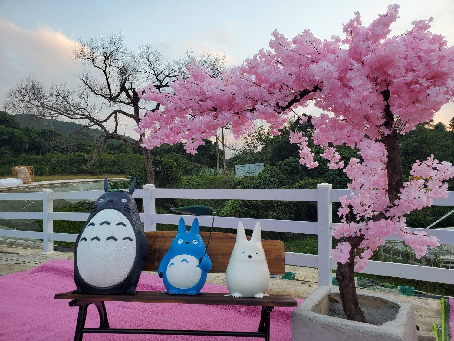 Xtivity 【貓巴士主題】任你玩日營+派對｜寵物友善｜親子好去處｜包場派對 28